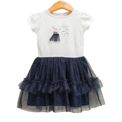 Stunning Navy Ruffle Tulle Flair Dress for Toddlers