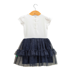 Stunning Navy Ruffle Tulle Flair Dress for Toddlers