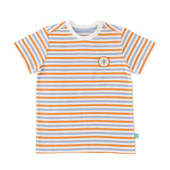 Organic Safari Zebra Toddler T-Shirt Set – 2-Pack