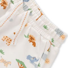 Organic Safari Toddler Jogger Pants – 2-Pack