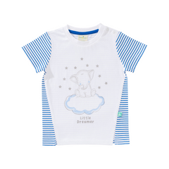 Elephant Printed Tee and Shorts Set for Toddler Boys