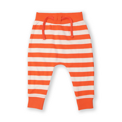 Baby Joggers for Boys - Pack of 2 (Striped & Bunny Print)
