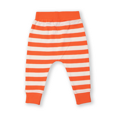 Baby Joggers for Boys - Pack of 2 (Striped & Bunny Print)
