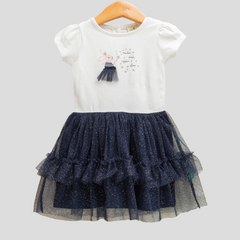 Stunning Navy Ruffle Tulle Flair Dress for Toddlers