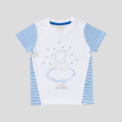 Elephant Printed Tee and Shorts Set for Toddler Boys